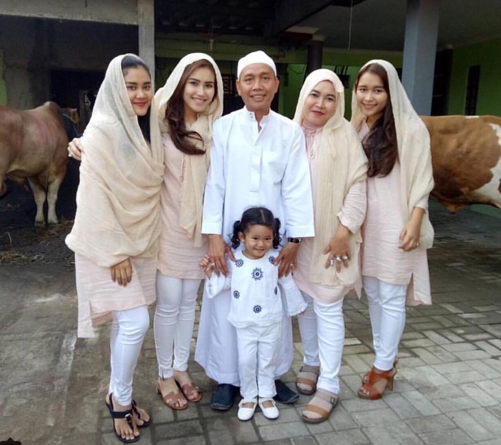 Foto Background Sapi Kurban, Tren Ala Ayu Ting Ting